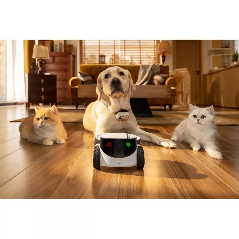 Apsaugos kamera Enabot Family Robot IP Camera ROLA PetPal WH287304