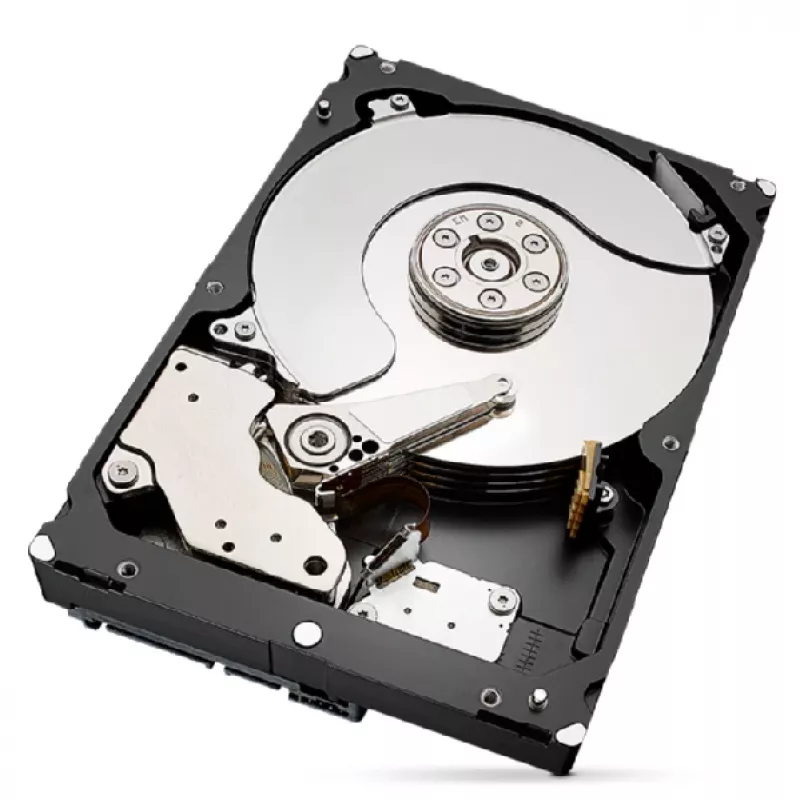 “Seagate IronWolf Pro ST4000NT001” vidinis standusis diskas 4 TB 7200 RPM 256 MB 3,5 col.