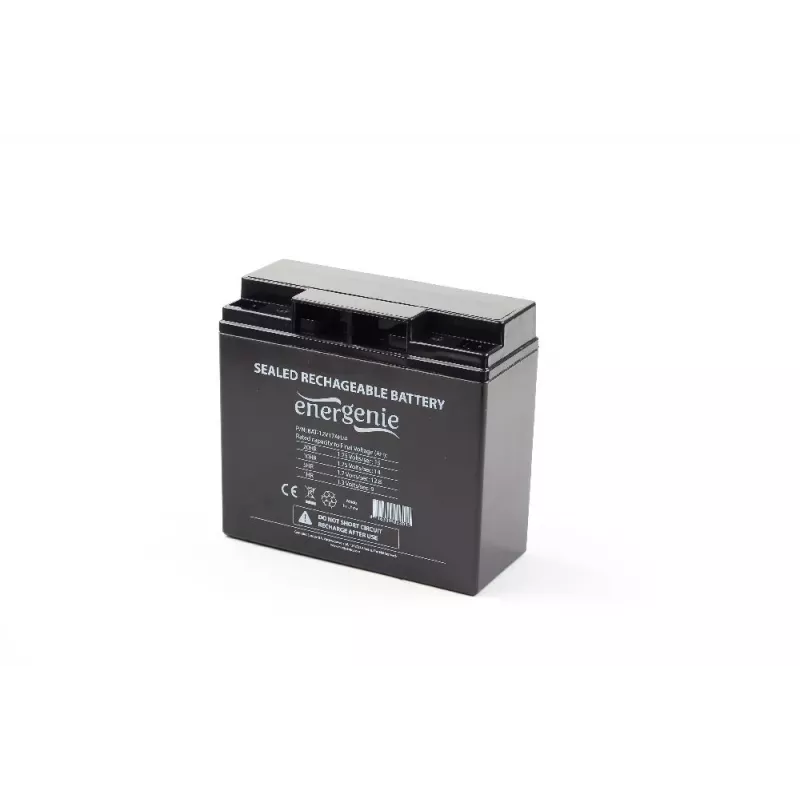 Gembird BAT-12V17AH/4 UPS baterija Užsandarinta švino rūgštinė 12V 17Ah