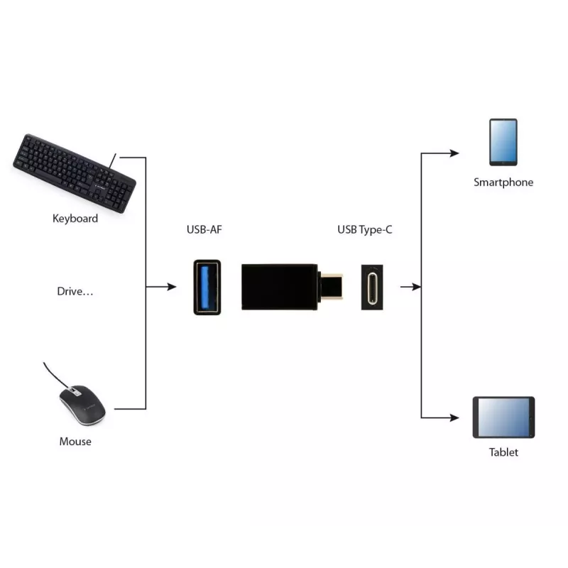 USB grafikos adapteris Gembird A-USB3-CMAF-01 — USB Type-C į USB (USB 2.0 / 3.2 Gen 1), kompaktiškas, juodas