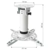 Techly Bracket Universal Projector Ceiling Balta ICA-PM 200WH