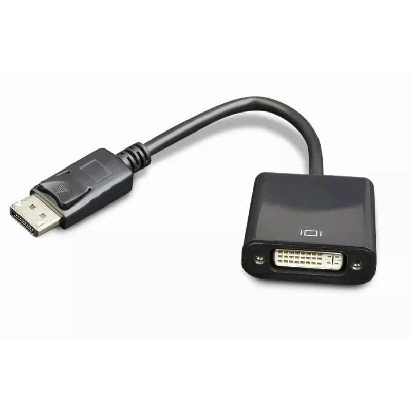 GEMBIRD DisplayPort į DVI adapterio kabelis - Juodas