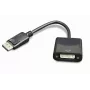 GEMBIRD DisplayPort į DVI adapterio kabelis - Juodas