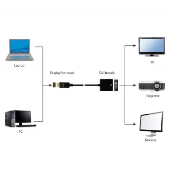 GEMBIRD DisplayPort į DVI adapterio kabelis - Juodas