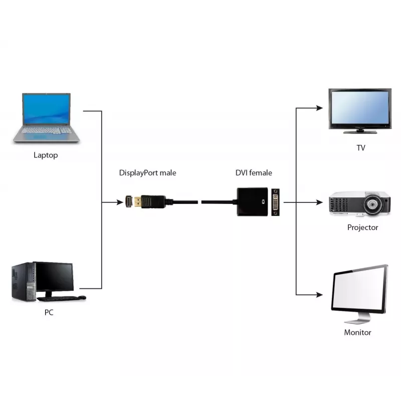 GEMBIRD DisplayPort į DVI adapterio kabelis - Juodas