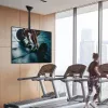 Techly teleskopinis lubų laikiklis iki 1,6 m LED TV LCD 23-42 coliai ICA-CPLB 922L