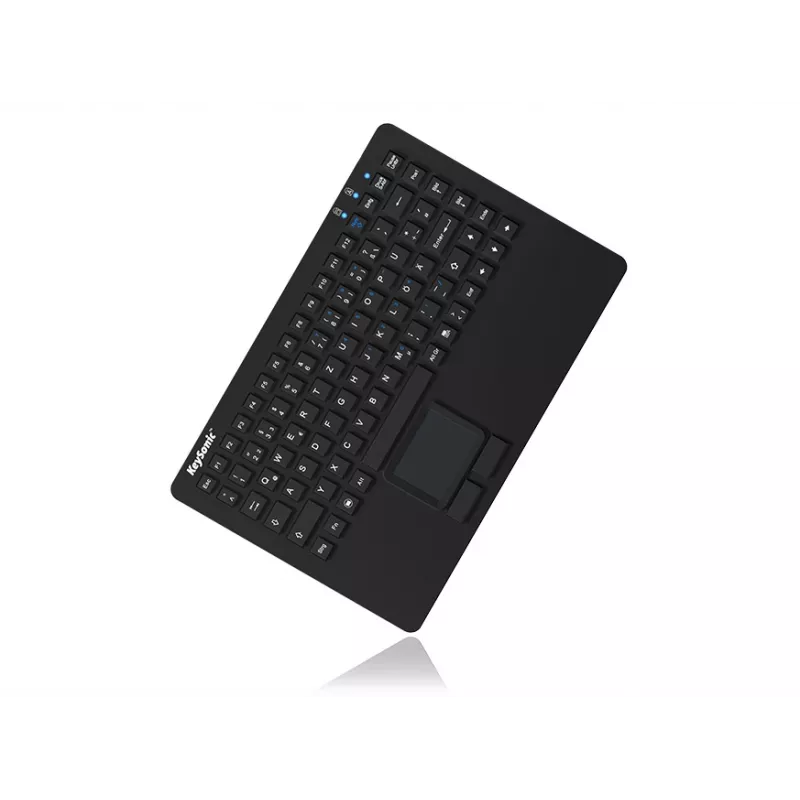 KeySonic KSK-5230 IN (US) klaviatūra Office USB QWERTY US English Juoda