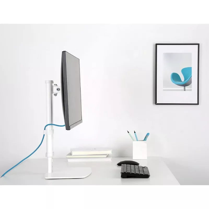 Techly ICA-LCD 260 monitoriaus laikiklis / stovas 68,6 cm (27 colių) Stalinis Baltas