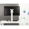 Techly ICA-LCD 260 monitoriaus laikiklis / stovas 68,6 cm (27 colių) Stalinis Baltas