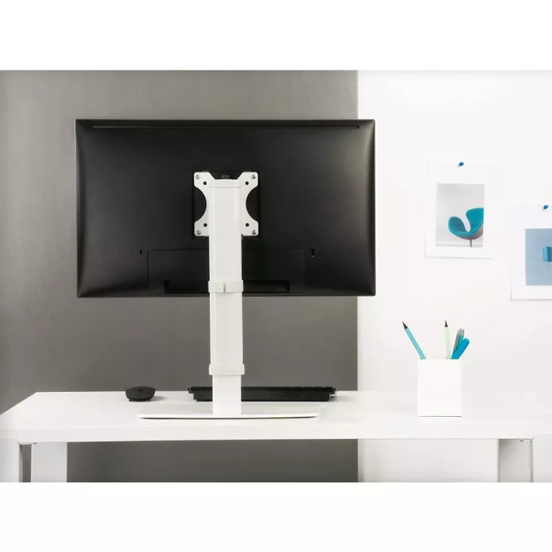 Techly ICA-LCD 260 monitoriaus laikiklis / stovas 68,6 cm (27 colių) Stalinis Baltas