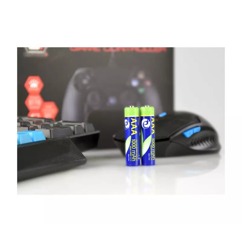 GEMBIRD AAA baterijos Ni-MH įkraunamos 1000mAh 2 vnt.
