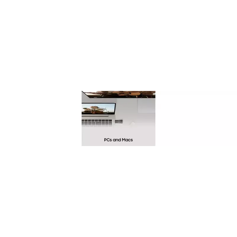 Samsung MUF-64BE USB atmintinė 64 GB USB Type-A 3.2 Gen 1 (3.1 Gen 1) Pilka