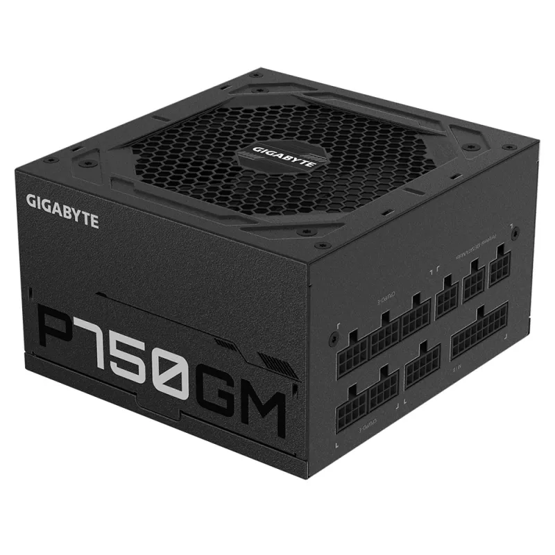 Gigabyte P750GM maitinimo blokas 750 vatų efektyvumas 80 PLUS GOLD, PFC aktyvus, MTBF 100000 valandų
