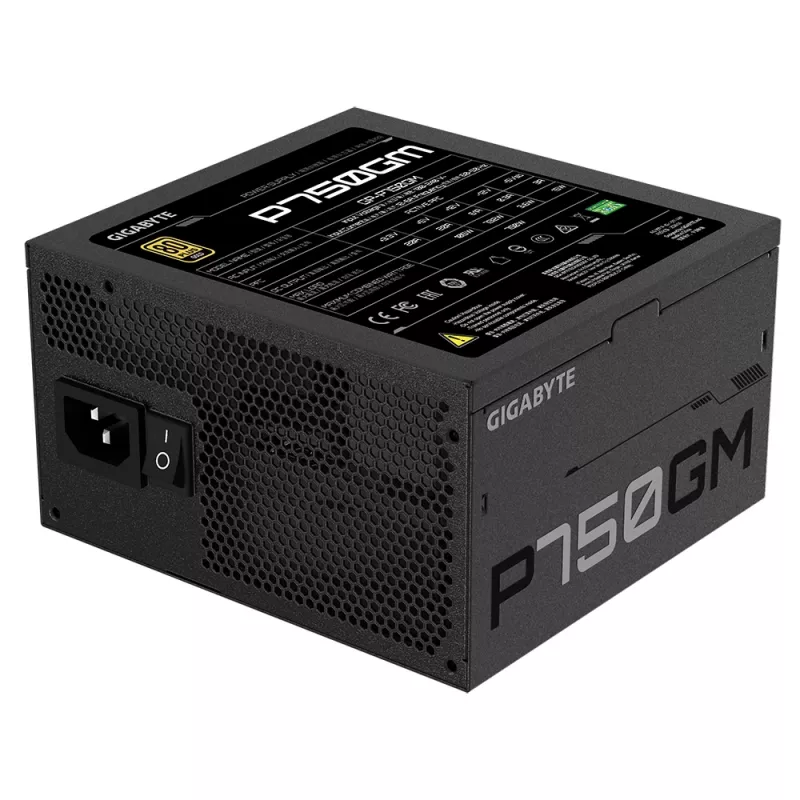Gigabyte P750GM maitinimo blokas 750 vatų efektyvumas 80 PLUS GOLD, PFC aktyvus, MTBF 100000 valandų