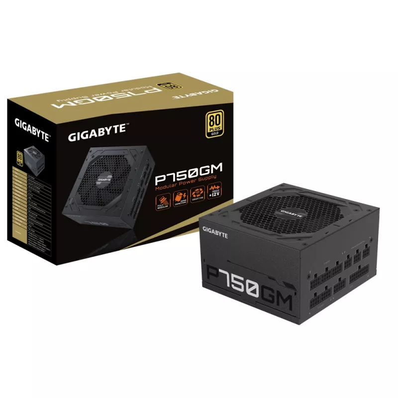 Gigabyte P750GM maitinimo blokas 750 vatų efektyvumas 80 PLUS GOLD, PFC aktyvus, MTBF 100000 valandų