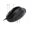Pelė Kensington Pro Fit Ergo Wired USB Type-A