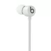 Apple Flex belaidės į ausis įdedamos ausinės