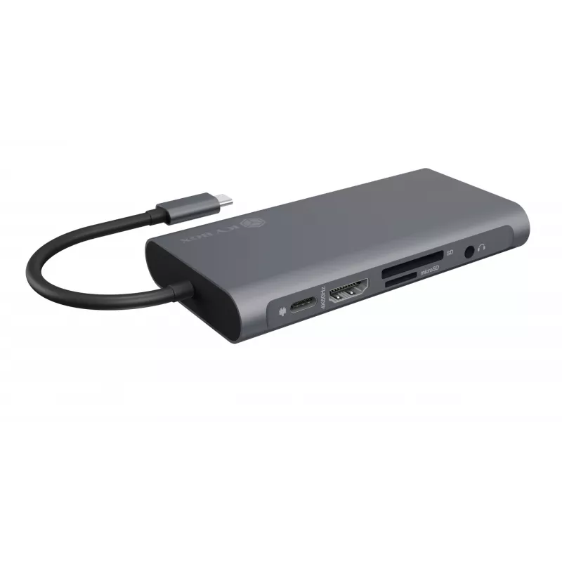 ICY BOX IB-DK4040-CPD Laidinė USB 3.2 Gen 1 (3.1 Gen 1) Type-C dokų stotelė, antracito, juoda