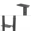 Neomounts PLASMA-M1950E TV stovas 60–100 colių