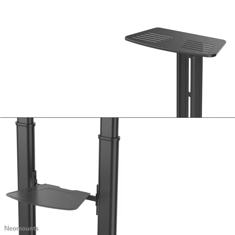 Neomounts PLASMA-M1950E TV stovas 60–100 colių