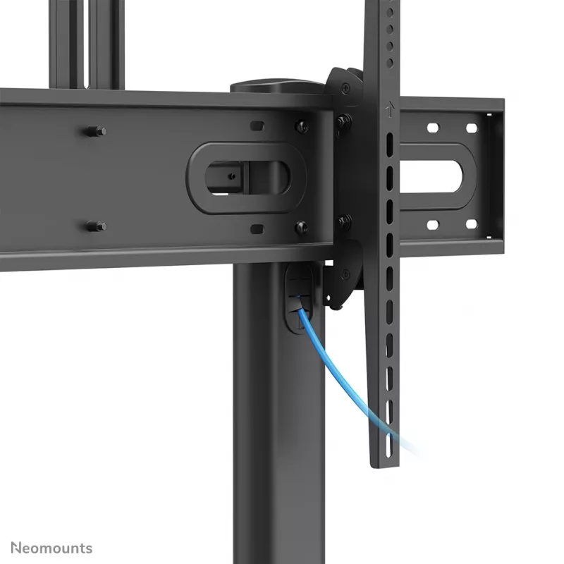 Neomounts PLASMA-M1950E TV stovas 60–100 colių