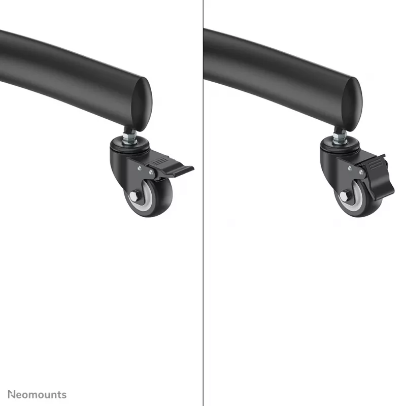 Neomounts PLASMA-M1950E TV stovas 60–100 colių