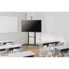 Neomounts PLASMA-M1950E TV stovas 60–100 colių