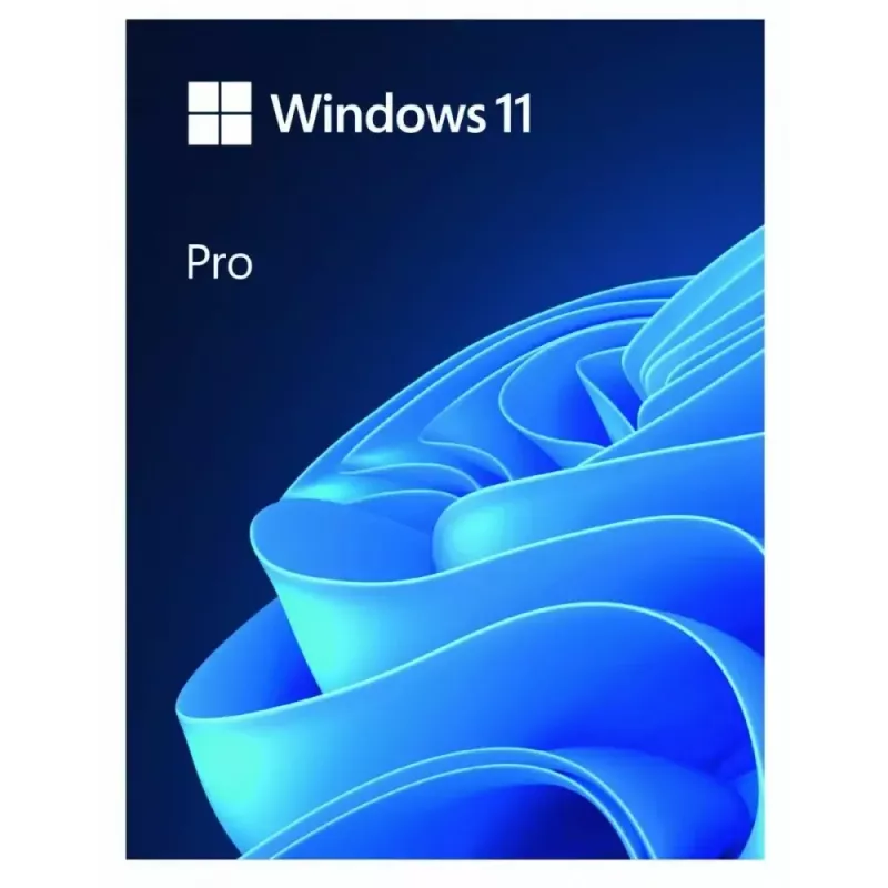 MICROSOFT Windows 11 Pro 64bit - 1 Lic - Win - English Intl - USB atmintukas