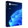 MICROSOFT Windows 11 Pro 64bit - 1 Lic - Win - English Intl - USB atmintukas