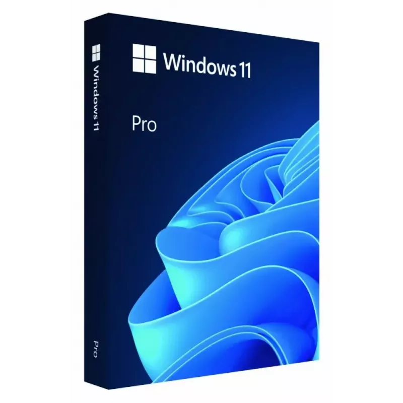 MICROSOFT Windows 11 Pro 64bit - 1 Lic - Win - English Intl - USB atmintukas