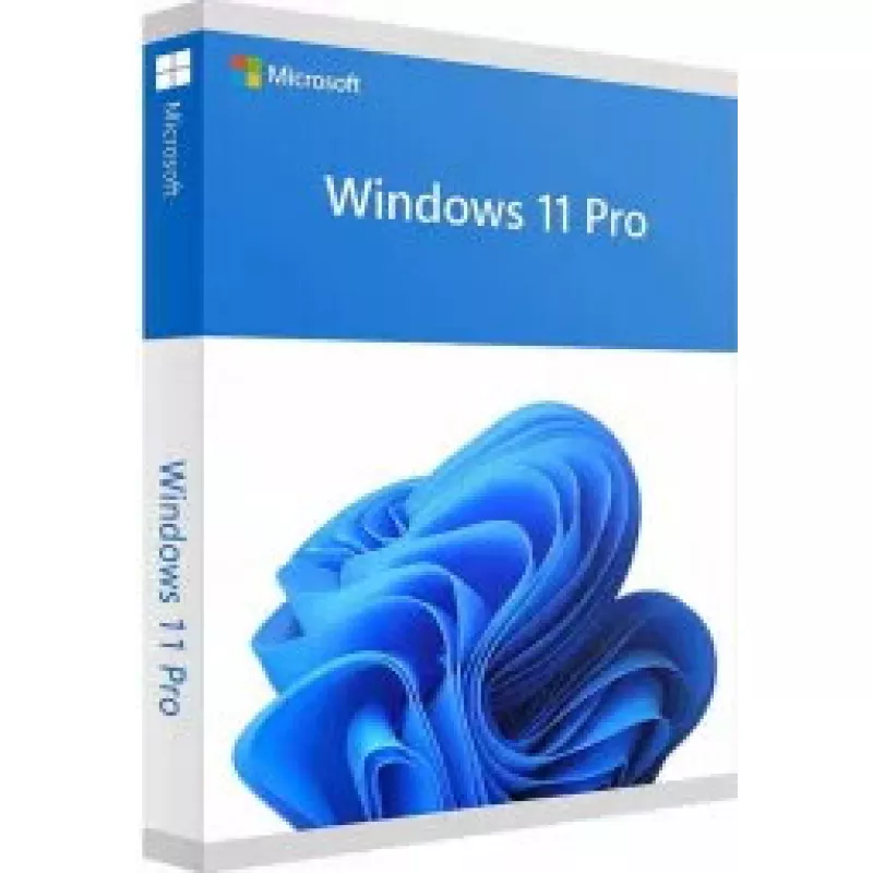 MICROSOFT Windows 11 Pro 64bit - 1 Lic - Win - English Intl - USB atmintukas