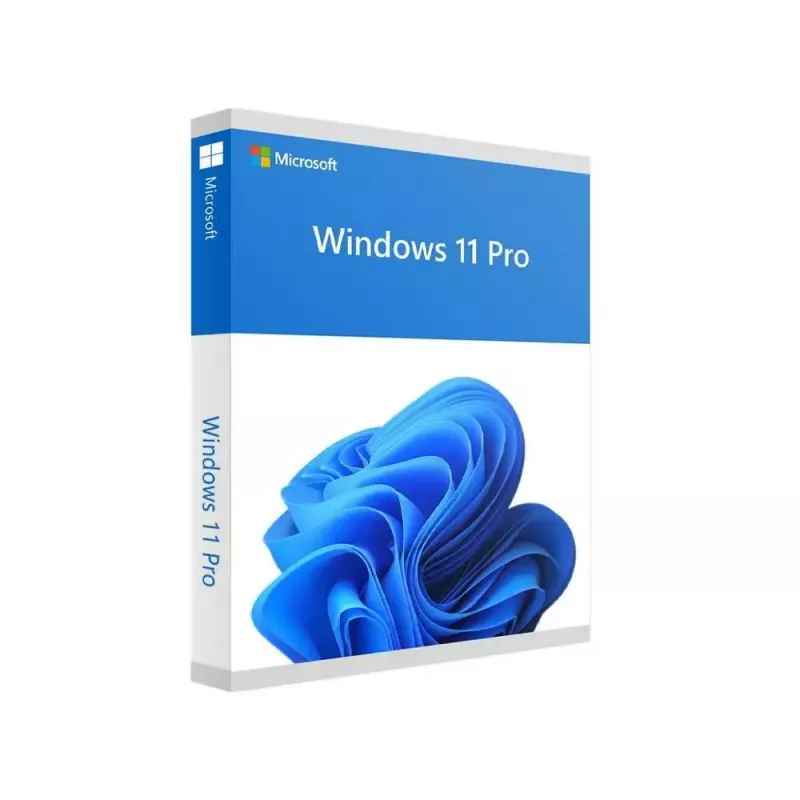 MICROSOFT Windows 11 Pro 64bit - 1 Lic - Win - English Intl - USB atmintukas