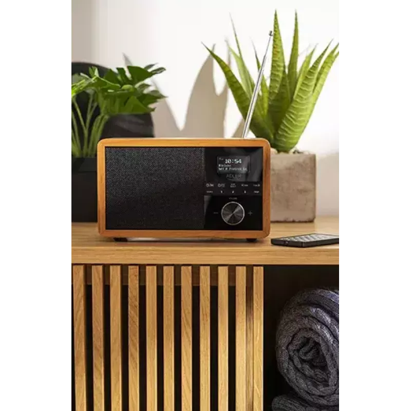 Nešiojamas radijas Adler AD 1184 su DAB+/FM/AM skaitmeniniu imtuvu, Bluetooth 5.0, 15W, SD/USB, žadintuvu, juodas/medis