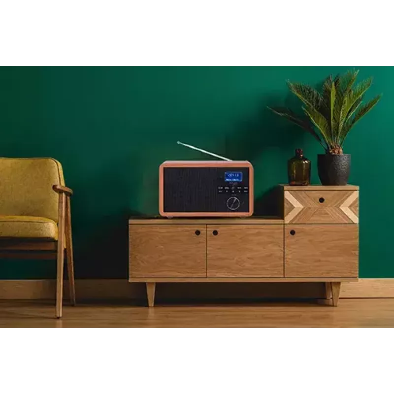 Nešiojamas radijas Adler AD 1184 su DAB+/FM/AM skaitmeniniu imtuvu, Bluetooth 5.0, 15W, SD/USB, žadintuvu, juodas/medis