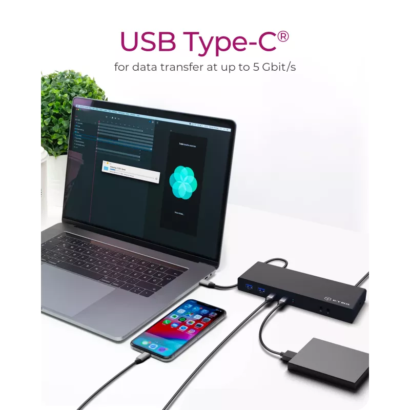 ICY BOX IB-DK2245AC Wired USB 3.2 Gen 1 (3.1 Gen 1) Type-C Juoda