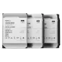SYNOLOGY kietasis diskas HAS530012T - 12TB - SAS 12Gb/s - 3,5 colio - 7200 aps/min