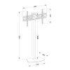 Ant grindų stovintis televizoriaus laikiklis TECHLY ICA-TR27 32–55 colių (81,3–139,7 cm), VESA 100x100–600x400, pakreipimas -15–0°, maks. apkrova 40 kg, juodas