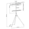 Grindinis televizoriaus laikiklis TECHLY ICA-TR18SAM 45–65 colių (114,3–165,1 cm), VESA 200x200–600x400, talpa 32 kg, riešutmedžio spalvos