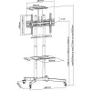 Stovo montavimas ant grindų TECHLY ICA-TR16T 37–70 colių ekranams, VESA 200x200–600x400, iki 50 kg, reguliuojamas aukštis, ratukai, pasvirimas ±10° (juodas)