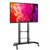 Techly plieninės stovo grindų atramos su reguliuojamu aukščiu, TV nuo 60'' iki 100''