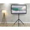 Techly universali grindų trikojis stovas 17-60 colių televizoriams