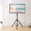 Techly universali grindų trikojis stovas 17-60 colių televizoriams