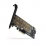 Axagon PCEM2-D PCIe x4 - M.2 NVMe M-rakto + SATA B-rakto lizdo adapteris su SP ir LP