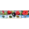 Kompaktiškas fotoaparatas Technaxx TX-164 2 MP CMOS 1920 x 1080 pikseliai Juodas