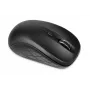 IBOX I009w - Rosella Wireless Optical pelė Juoda