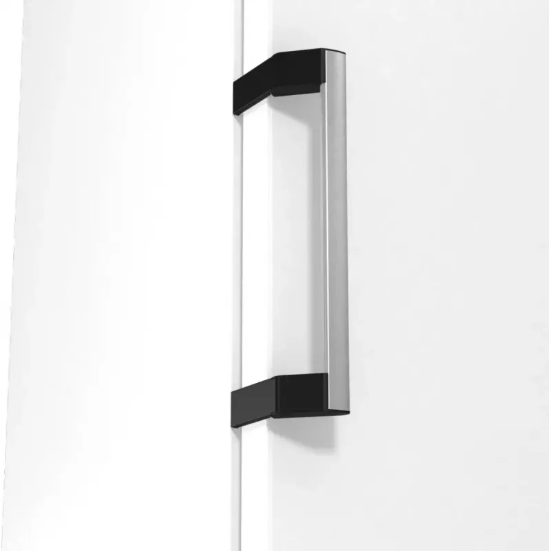Laisvai pastatomas šaldytuvas Gorenje R619EAW6 — 398 L, energijos klasė E, 1850×595×663 mm, baltas
