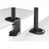 Monitor mount stand Gembird MA-DA-03 for 32 inch screens, desk clamp/grommet, dual-arm, VESA 75x75–100x100, black