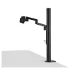 ASUS ZenScreen MB249C kompiuterio monitorius 60,5 cm (23,8 colio) 1920 x 1080 pikselių Full HD LED juodas