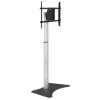 Techly ICA-TR39 TV spintelė / pramogų centras
