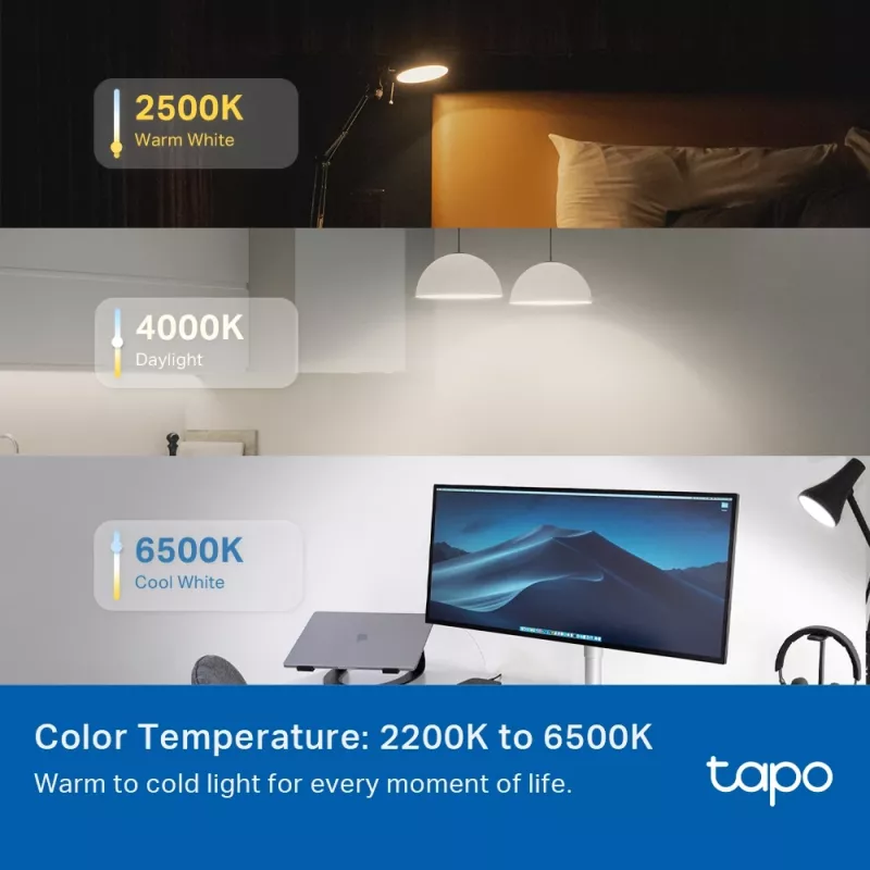 TP-Link Tapo išmanioji lemputė, daugiaspalvė, Matter, išmanioji lemputė, Wi-Fi / Bluetooth, balta, 802.11b, 802.11g, Wi-Fi 4 (802.11n), WPA-PSK, WPA2-PSK, WPA3-SAE, LED